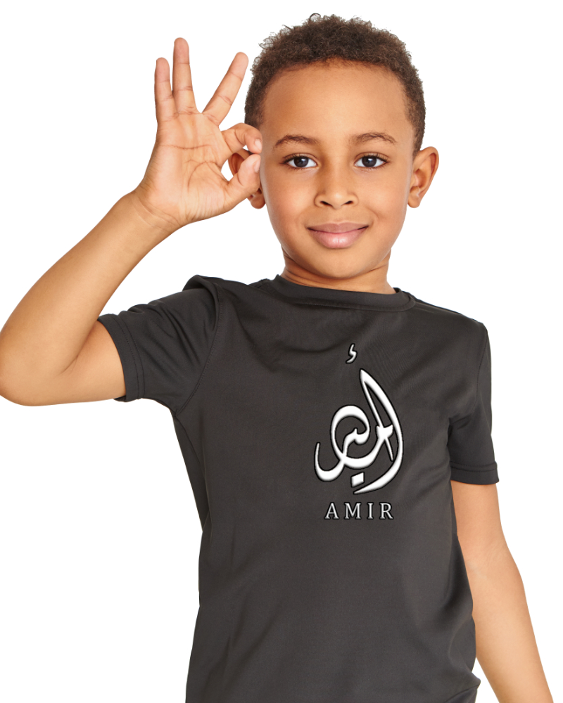 tshert amir 2